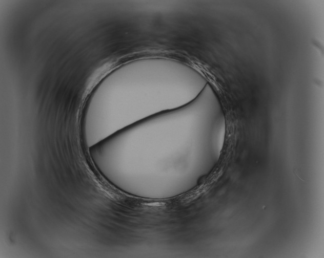 X0000093160053200709261044