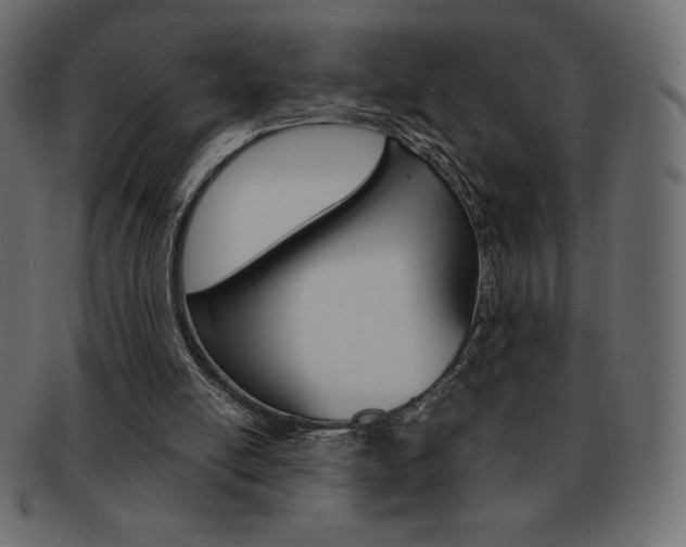 X0000093160054200709261044