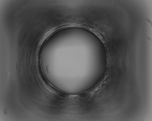 X0000093160055200709261044