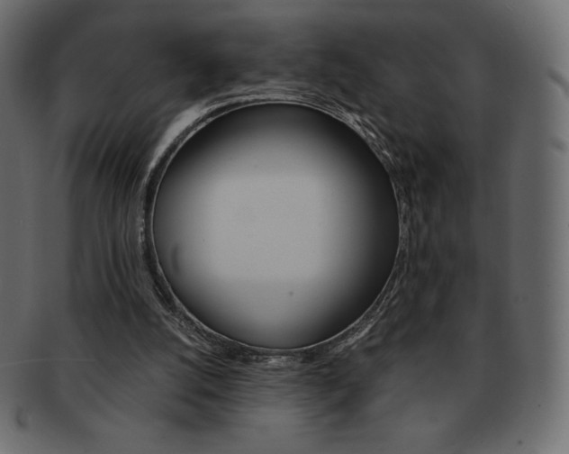 X0000093160056200709261044