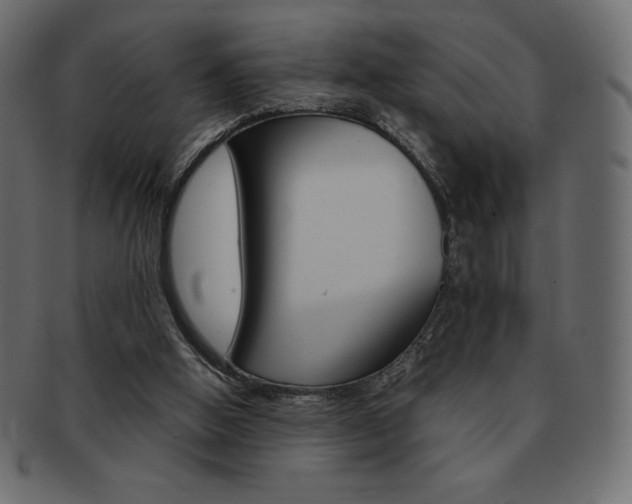 X0000093160058200709261044