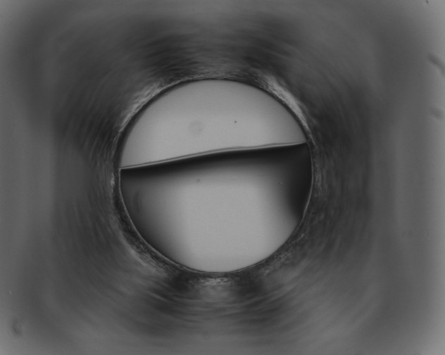 X0000093160059200709261044