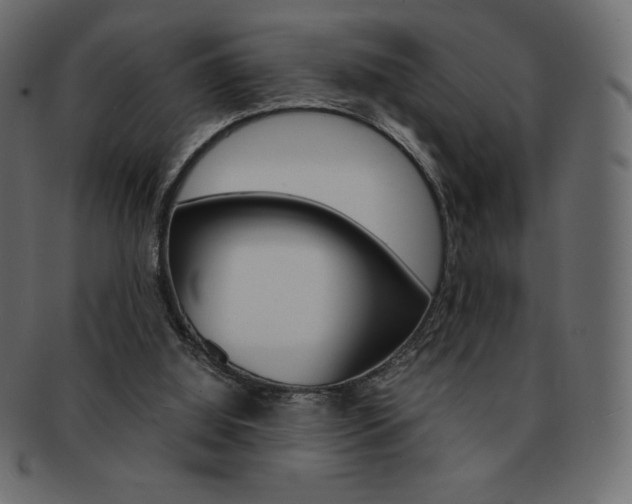 X0000093160060200709261044