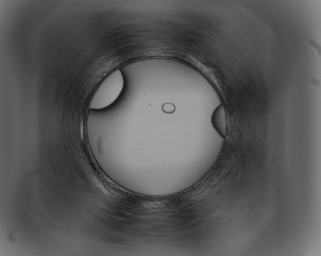 X0000093160061200709261044