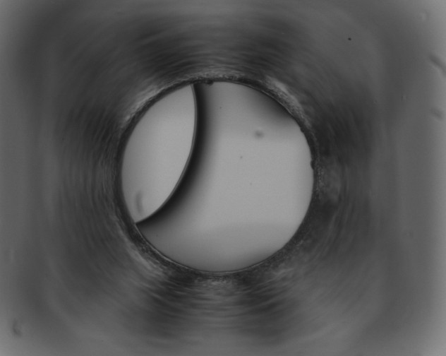 X0000093160063200709261044