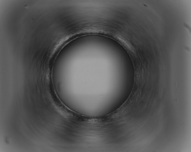 X0000093160064200709261044