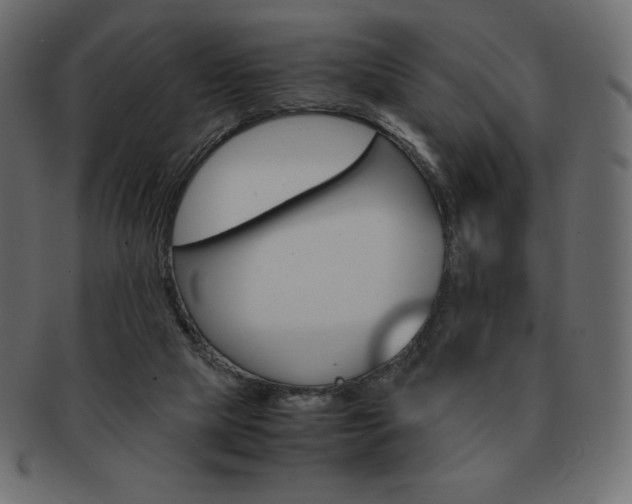 X0000093160065200709261044