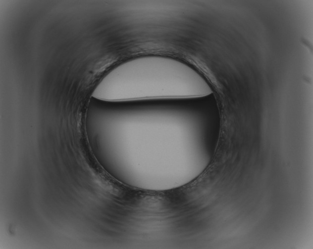 X0000093160066200709261044