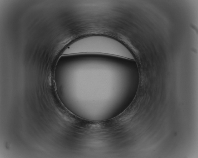 X0000093160068200709261044