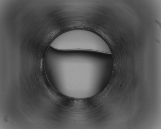 X0000093160070200709261044