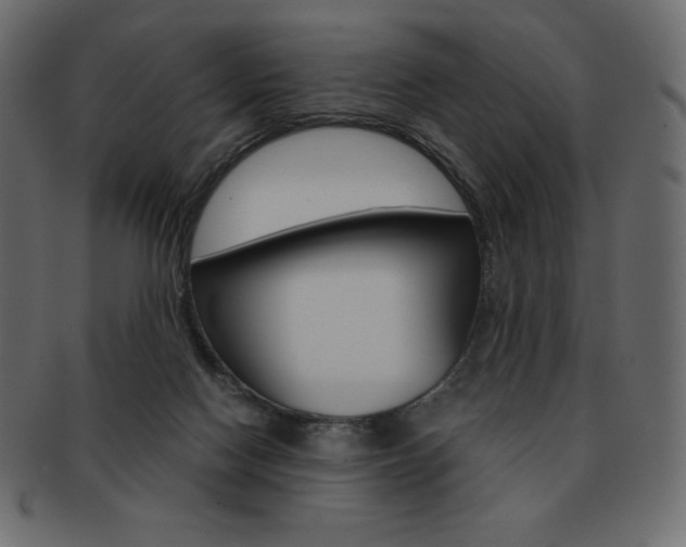X0000093160074200709261044