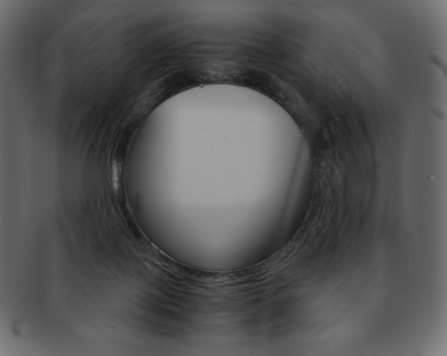 X0000093160075200709261044
