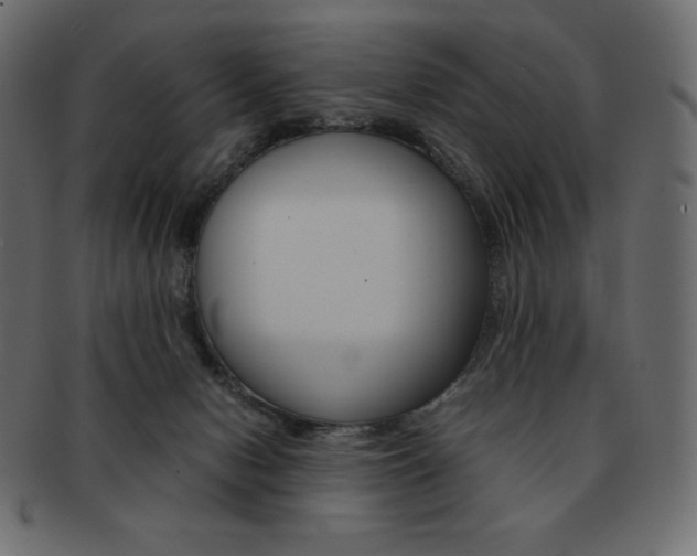 X0000093160078200709261044