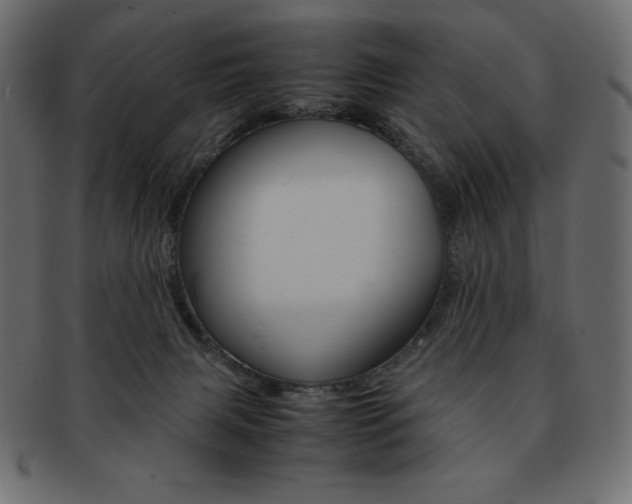 X0000093160079200709261044