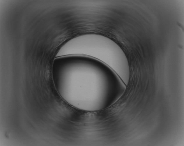 X0000093160080200709261044