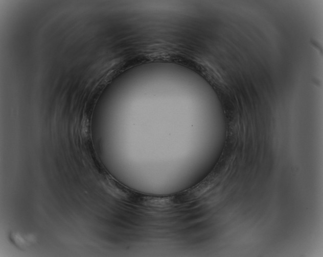 X0000093160081200709261044