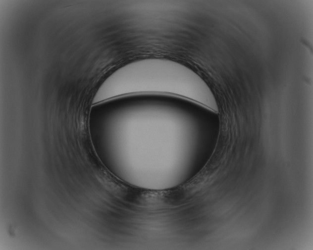 X0000093160084200709261044