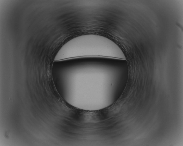 X0000093160085200709261044