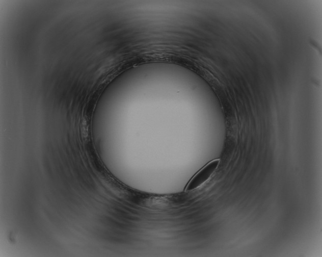 X0000093160086200709261044