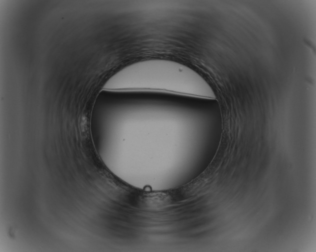 X0000093160087200709261044