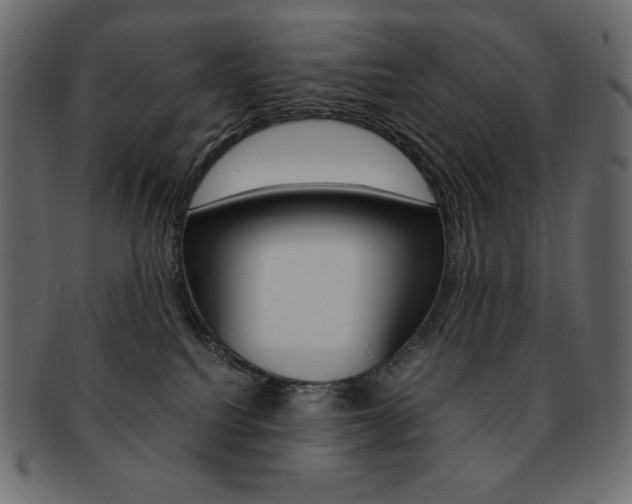 X0000093160088200709261044