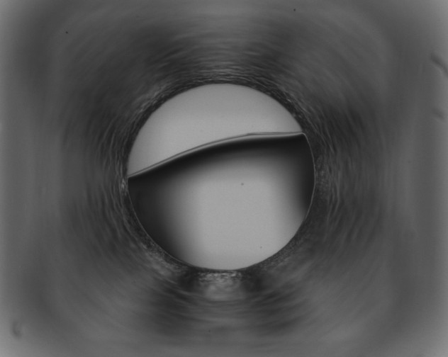 X0000093160089200709261044