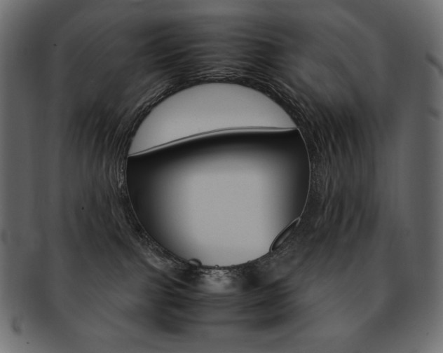 X0000093160091200709261044