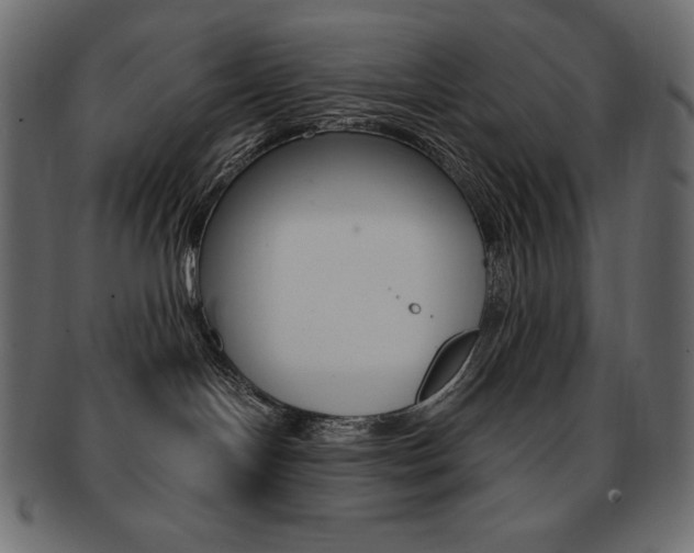 X0000093160094200709261044