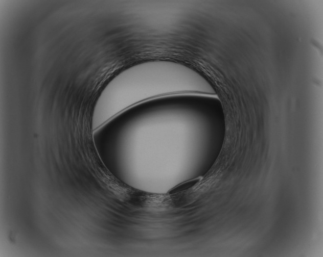 X0000093160096200709261045