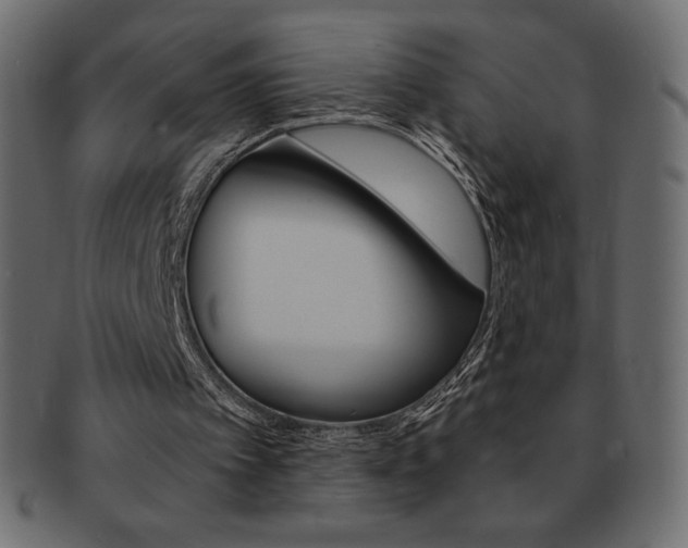 X0000093160097200709261044