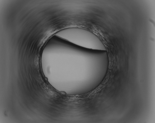 X0000093160098200709261044