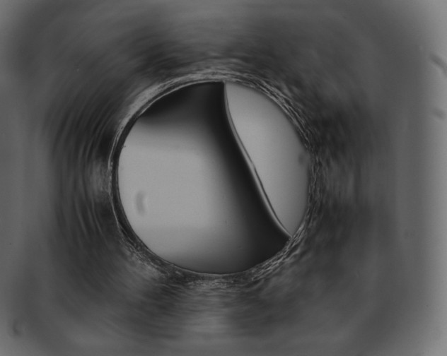 X0000093160100200709261044