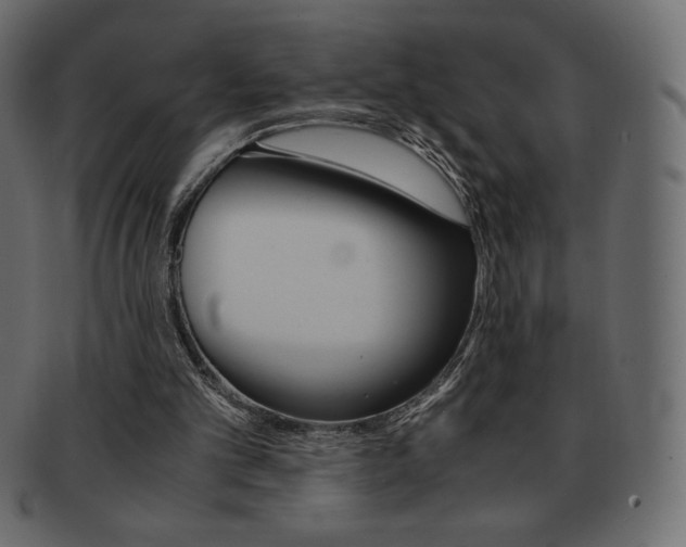X0000093160101200709261044