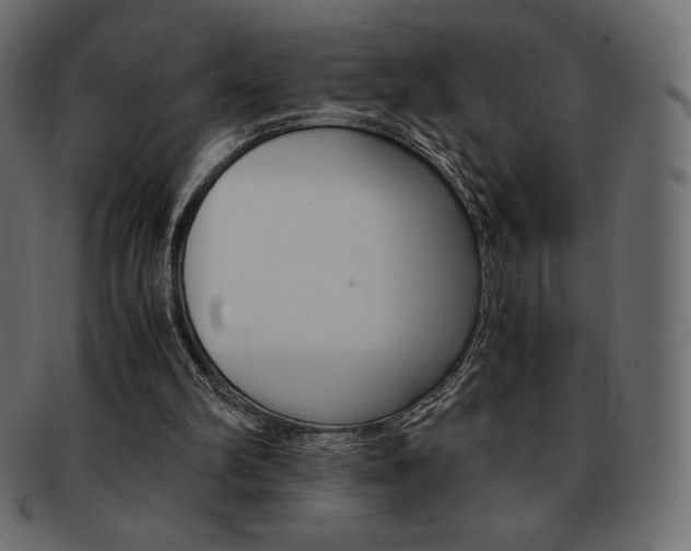 X0000093160102200709261044