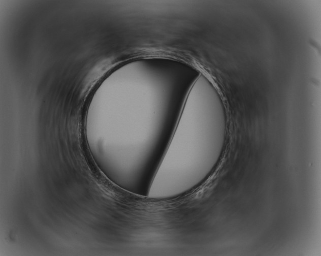 X0000093160103200709261044
