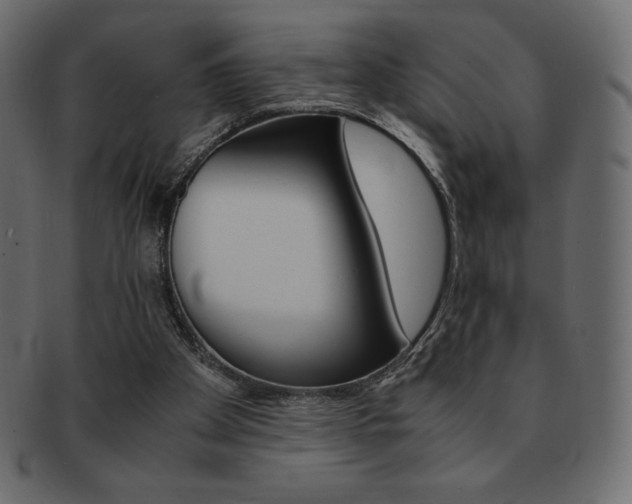X0000093160105200709261044
