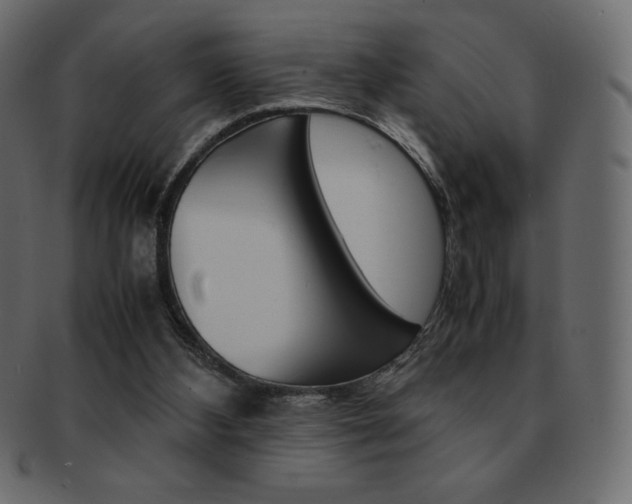X0000093160108200709261044