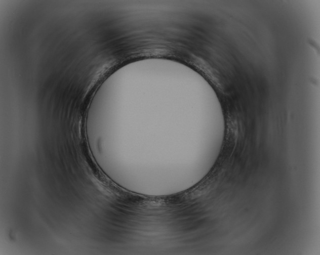 X0000093160110200709261044