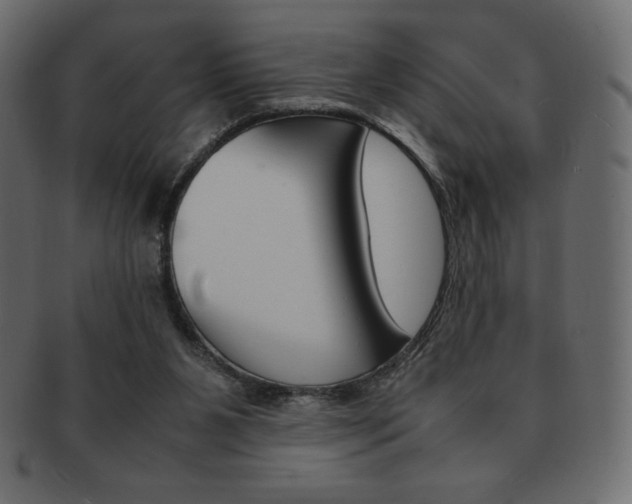X0000093160111200709261044