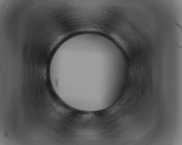 X0000093160112200709261044