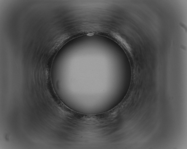 X0000093160113200709261044