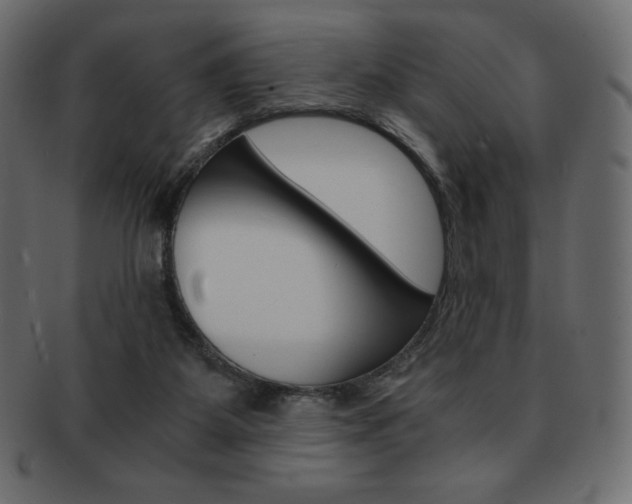 X0000093160115200709261043