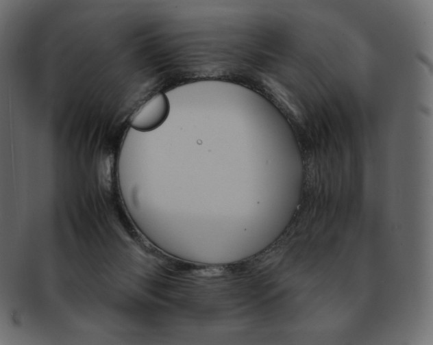 X0000093160118200709261043