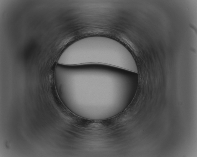 X0000093160119200709261043
