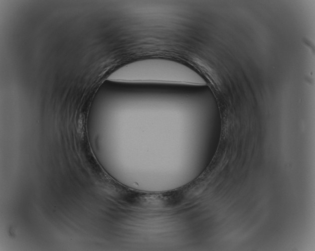 X0000093160121200709261043