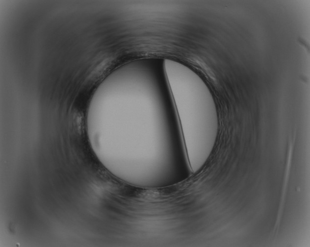 X0000093160123200709261043