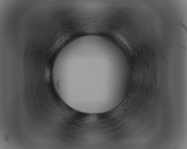 X0000093160124200709261043