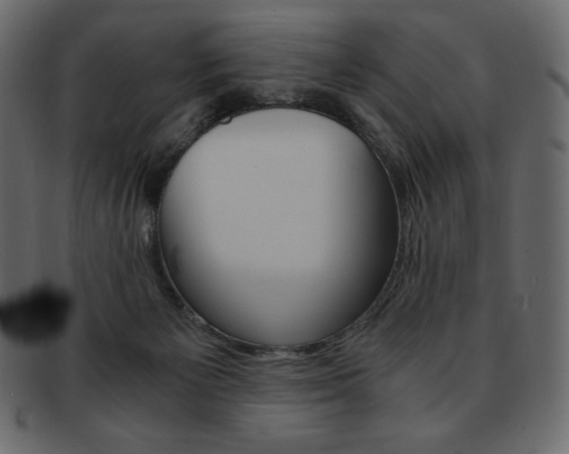 X0000093160125200709261043