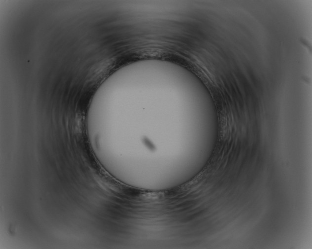 X0000093160126200709261043