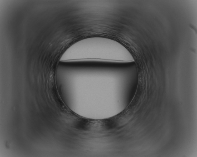 X0000093160127200709261043